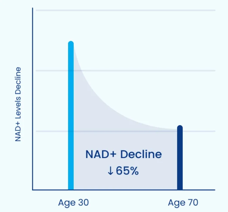How to Slow down the aging of your Cells? (Full Guide) 1 Graph illustrating the decline of NAD+ with age and cellular aging
